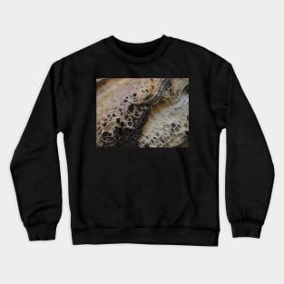 Balmoral Honeycomb Crewneck Sweatshirt